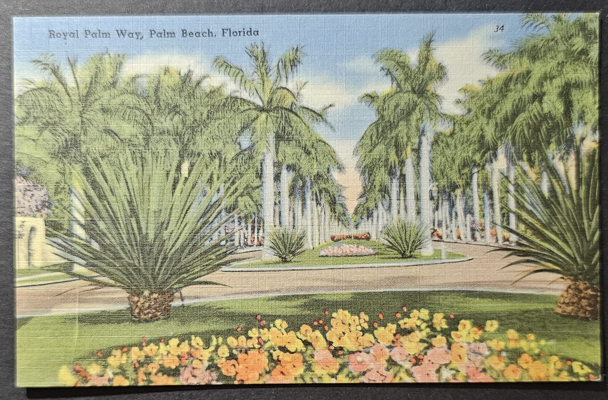 (image for) postcard USA - FL - Florida #0063